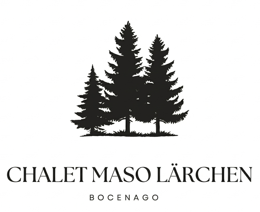 logo maso larchen